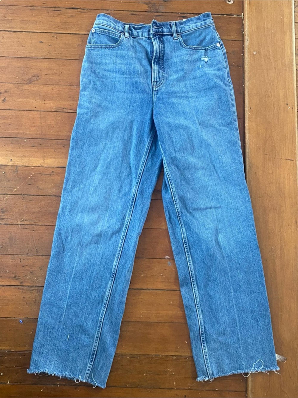 Everlane Way High Jean 27 Long